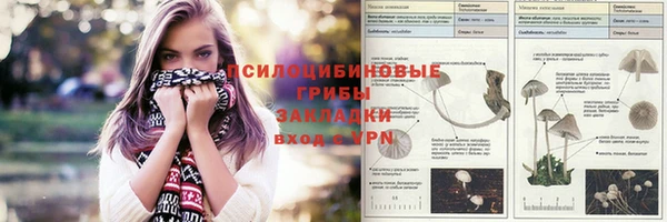 соль ск Ельня