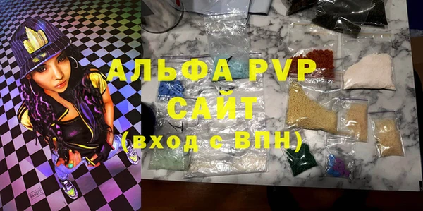 соль ск Ельня