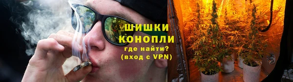 кокс Елизово