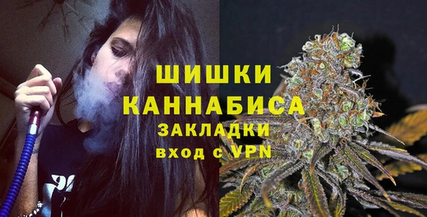 соль ск Ельня