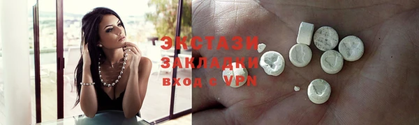 соль ск Ельня