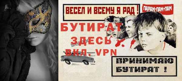 соль ск Ельня