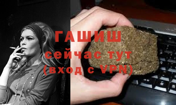 соль ск Ельня