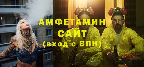 соль ск Ельня