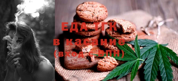 соль ск Ельня