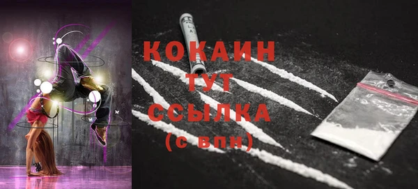 соль ск Ельня