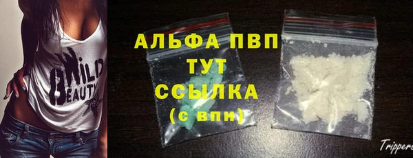 соль ск Ельня