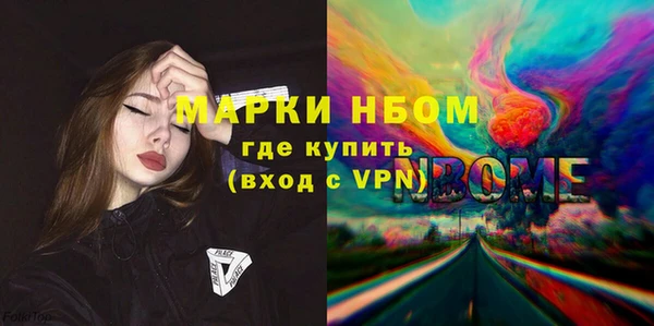 соль ск Ельня